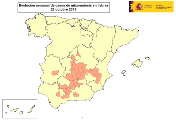 La mixomatosis alcanza ya a liebres de al menos 12 provincias