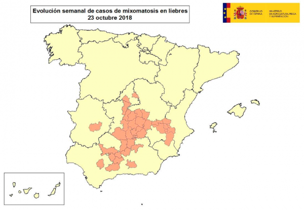 La mixomatosis alcanza ya a liebres de al menos 12 provincias