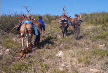 Carne Silvestre, clave para el desarrollo rural