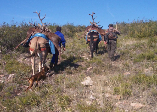 Carne Silvestre, clave para el desarrollo rural