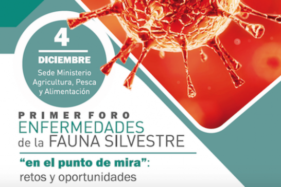 I Foro Enfermedades de la Fauna Silvestre