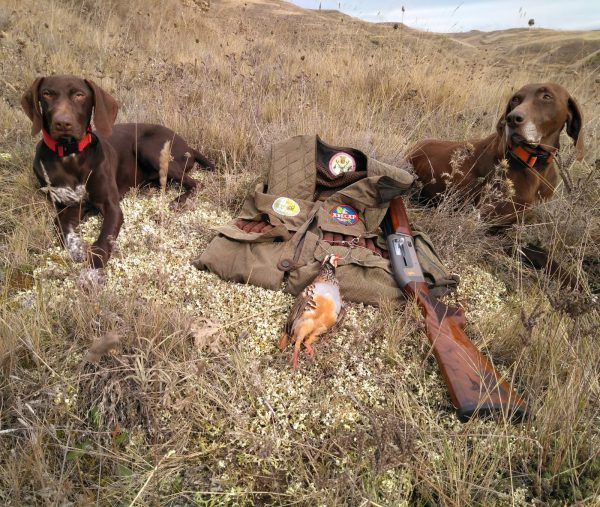 En defensa de las competencias forales y de los derechos de los cazadores