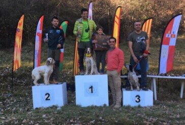 XXVIII Campeonato de España de Caza de Becadas
