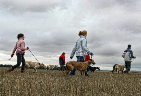 La RFEC denuncia a parlamentarios animalistas de APDDA