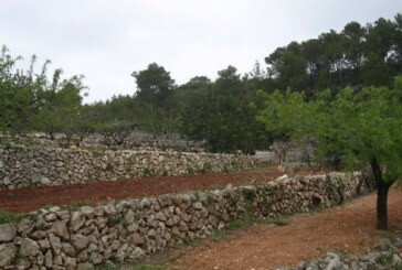 Muros de piedra realizados por cazadores, Patrimonio Cultural