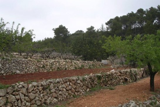 Muros de piedra realizados por cazadores, Patrimonio Cultural