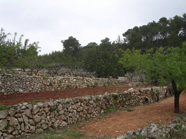 Muros de piedra realizados por cazadores, Patrimonio Cultural