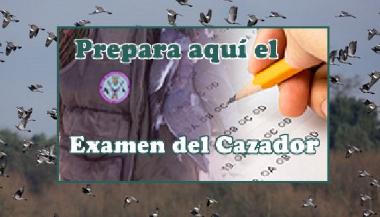 Cursos gratuitos Examen del Cazador en Alava