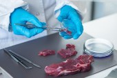 Estudio científico avala las propiedades saludables de la carne de ciervo