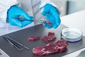 Italia prohíbe la carne artificial e impondrá multas de hasta 60.000 euros