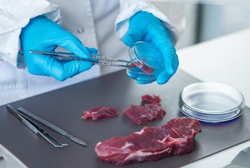 Estudio científico avala las propiedades saludables de la carne de ciervo