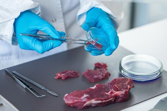 Estudio científico avala las propiedades saludables de la carne de ciervo