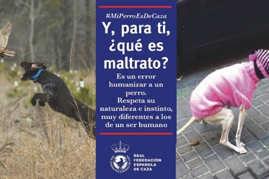 Nueva campaña de la RFEC: «Y, para ti, ¿qué es maltrato animal?» (+vídeo)