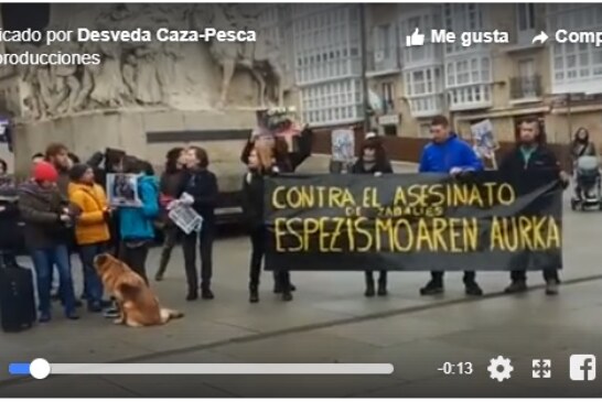 50 personas se manifiestan en Vitoria en contra de la caza con arco en Salburua (+ vídeo)