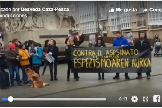 50 personas se manifiestan en Vitoria en contra de la caza con arco en Salburua (+ vídeo)