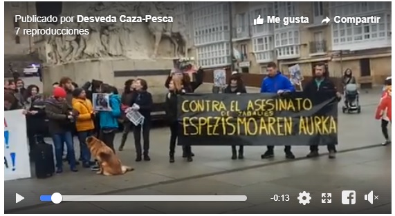 50 personas se manifiestan en Vitoria en contra de la caza con arco en Salburua (+ vídeo)