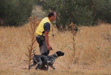 La Federación Bizkaina organiza una jornada de iniciación a las pruebas deportivas de caza