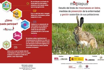 MIXOlepus: Buscando soluciones a la mixomatosis en la liebre