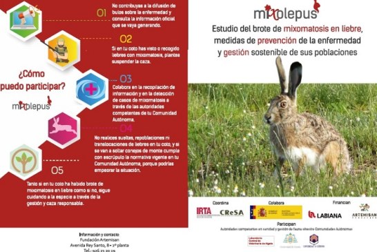 MIXOlepus: Buscando soluciones a la mixomatosis en la liebre