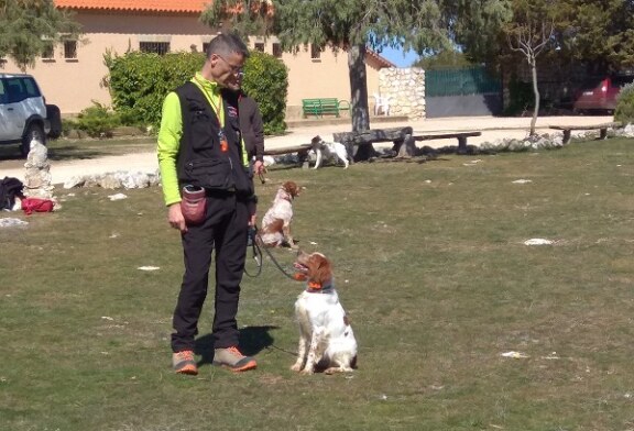 El II Curso de adiestrador de perros de caza prepara a futuros instructores