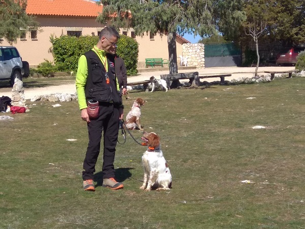 El II Curso de adiestrador de perros de caza prepara a futuros instructores