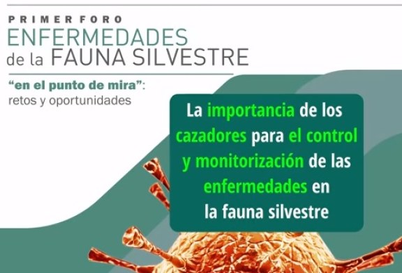 Resumen y conclusiones del Foro de Enfermedades Fauna Silvestre (+ vídeo)