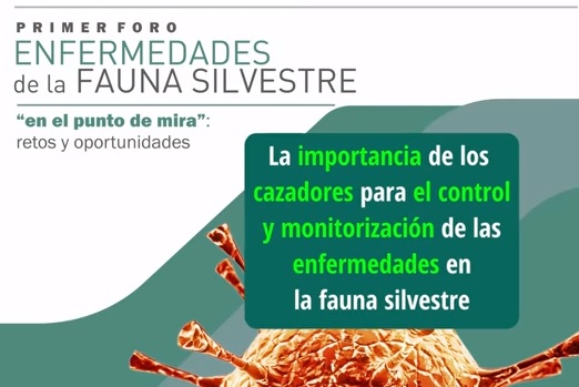 Resumen y conclusiones del Foro de Enfermedades Fauna Silvestre (+ vídeo)