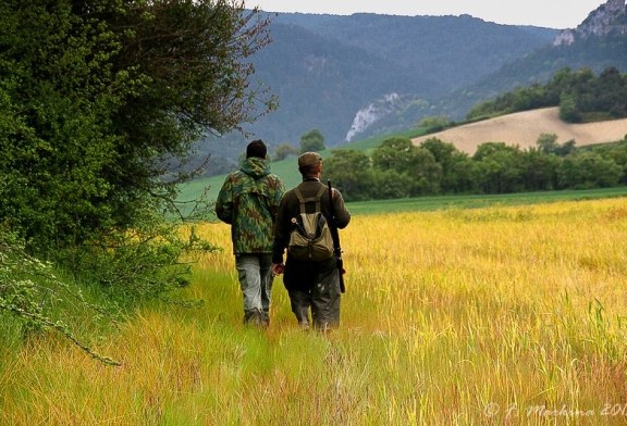 Con la llegada de la primavera arranca la temporada de recechos de corzo