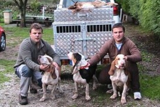 La caza de la liebre con perros de rastro