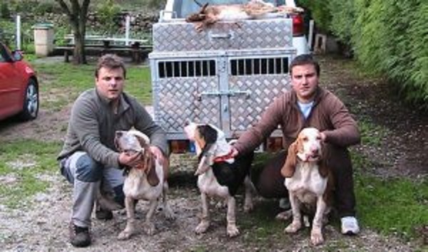 La caza de la liebre con perros de rastro