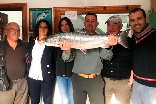 Salió el Campanu del Sella con más de 5 kg de peso