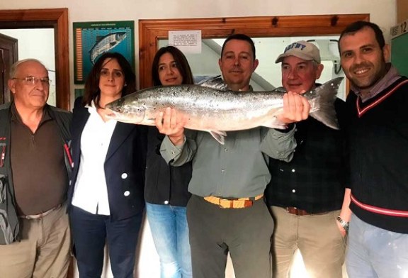 Salió el Campanu del Sella con más de 5 kg de peso