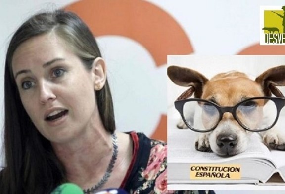 Una Diputada de CIUDADANOS equipara los derechos de los perros con los de las personas