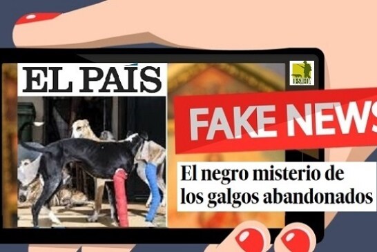 La RFEC exige a ‘El País’ que rectifique las falsas informaciones sobre el abandono de perros de caza