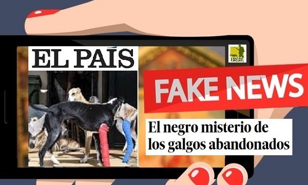 La RFEC exige a ‘El País’ que rectifique las falsas informaciones sobre el abandono de perros de caza