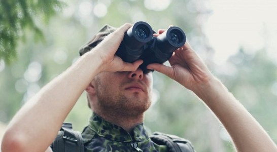 El Observatorio Cinegético. La mayor herramienta de monitorización de fauna silvestre cinegética