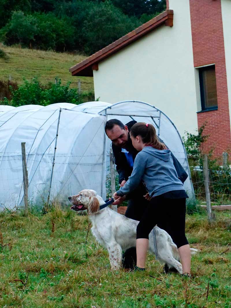 La sociedad OTOIO de Ispaster fomenta el relevo generacional en su Concurso de Perros de Muestra