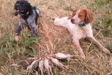 La media veda se mantiene en Castilla y León a pesar de los recursos judiciales