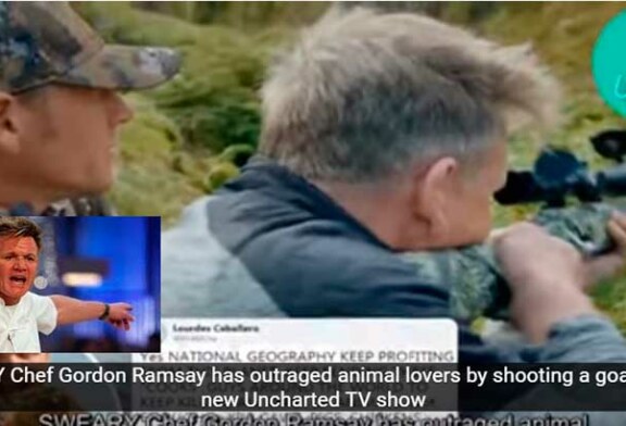 El chef Gordon Ramsay dispara en directo a una cabra, la cocina, se la come y desata una fuerte polémica