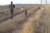 Réplica a las alegaciones del Colegio Oficial de Biólogos de Castilla y  León al Plan de Caza. La caza nos beneficia a todos