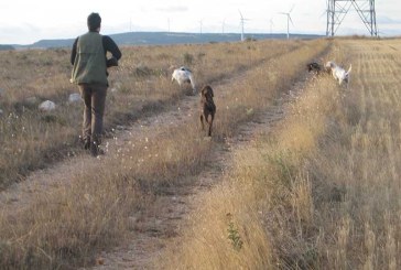 Réplica a las alegaciones del Colegio Oficial de Biólogos de Castilla y  León al Plan de Caza. La caza nos beneficia a todos