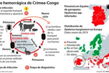 La garrapata que transmite un virus hemorrágico se extiende por Europa