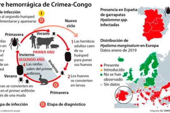 La garrapata que transmite un virus hemorrágico se extiende por Europa