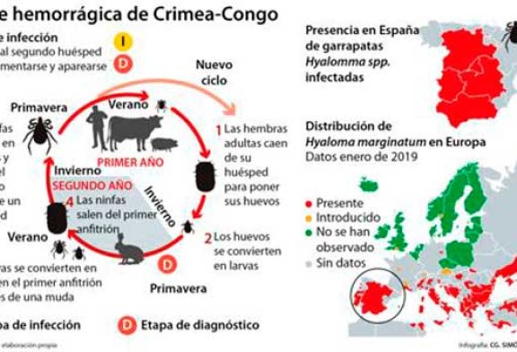 La garrapata que transmite un virus hemorrágico se extiende por Europa