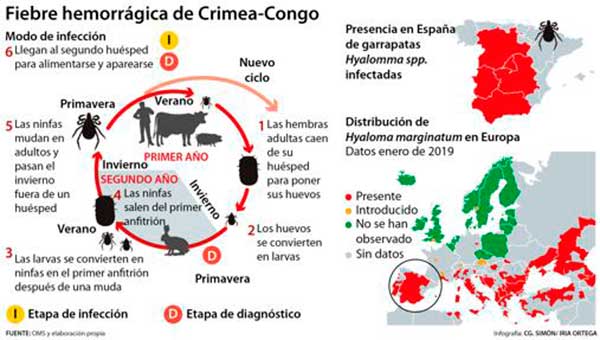 La garrapata que transmite un virus hemorrágico se extiende por Europa