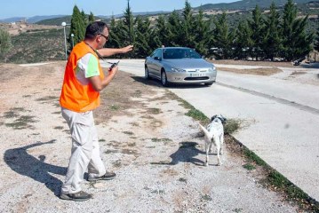 Multas de hasta 100.000 euros por una ley de protección animal que los cazadores siguen intentando cambiar