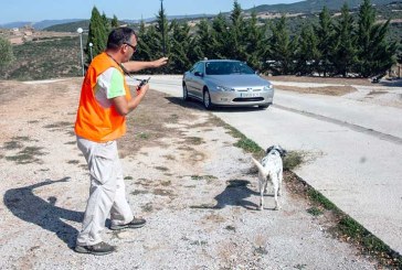 Multas de hasta 100.000 euros por una ley de protección animal que los cazadores siguen intentando cambiar