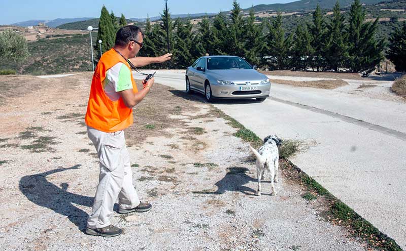 Multas de hasta 100.000 euros por una ley de protección animal que los cazadores siguen intentando cambiar