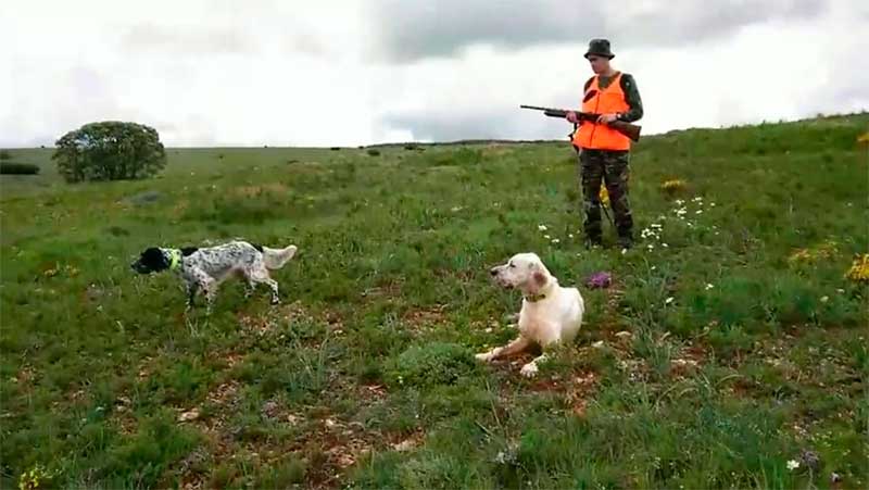 Primer Campeonato de España de Caza Menor con Perro Mixto para Cazadores Adaptados