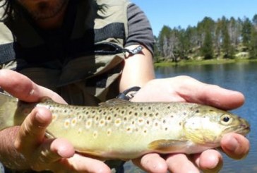 Consejos pesca de primavera en alta montaña